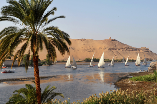 Vue sur le Nil en Egypte avec un palmier