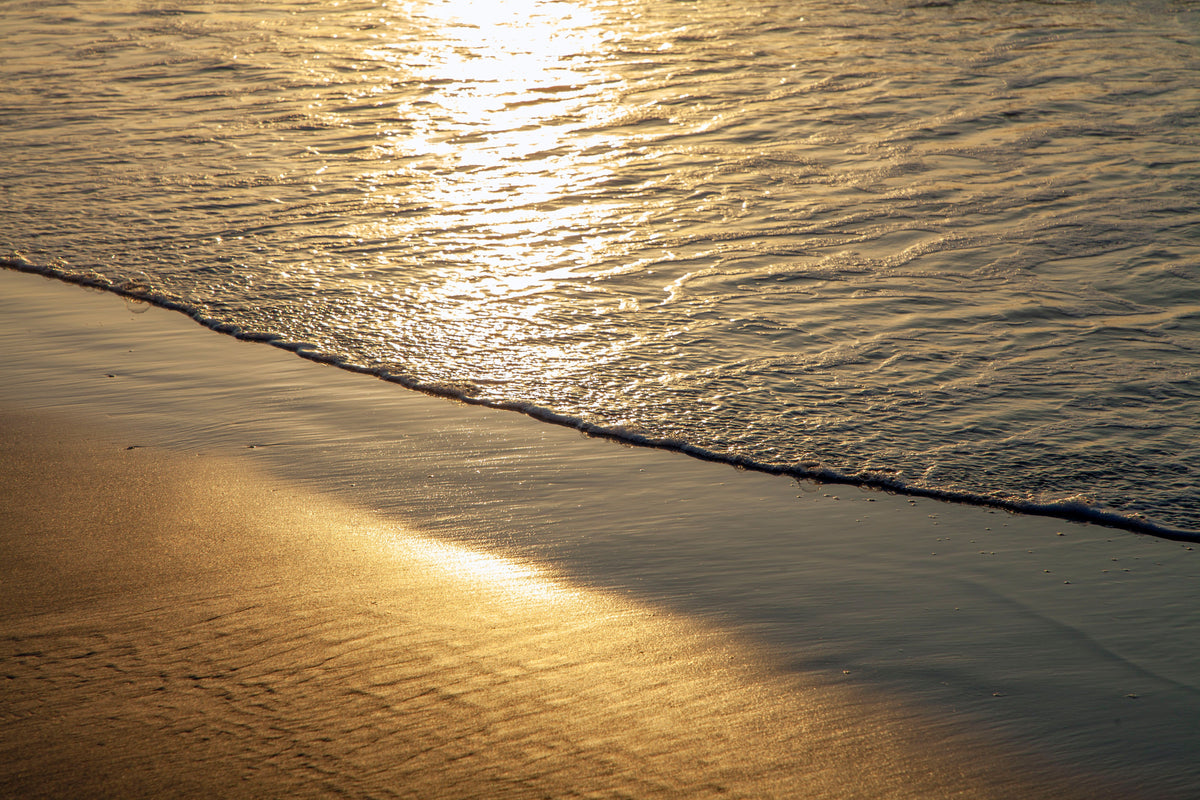 Plage avec la lumière du soleil dessus.